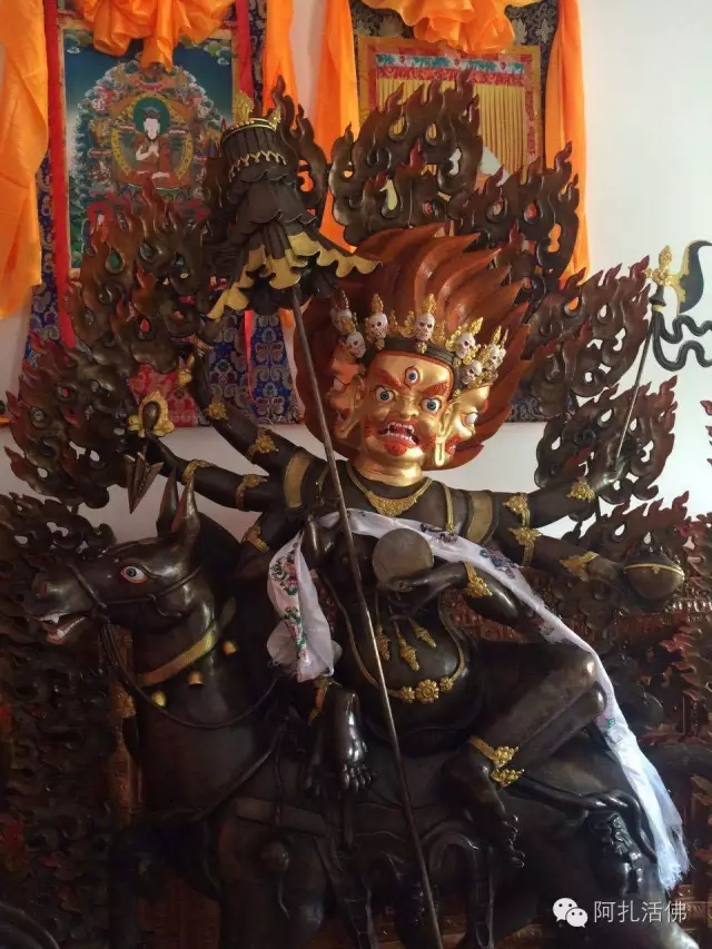 虎衣明王.png
